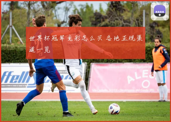 世界杯冠军竞彩怎么买 各地正规渠道一览